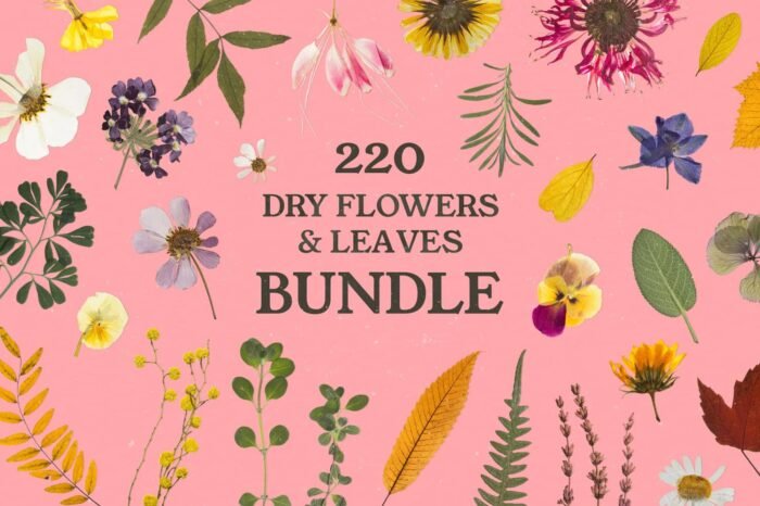 220 PNG Dry Flowers and Leaves Bundle
